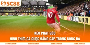 Ảnh đại diện kèo phạt góc