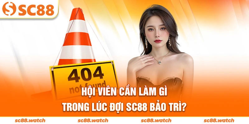 Hội viên cần làm gì trong lúc đợi SC88 bảo trì?